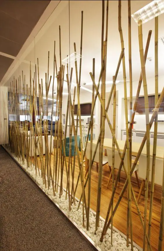 Bamboo used as a screening partition between two spaces