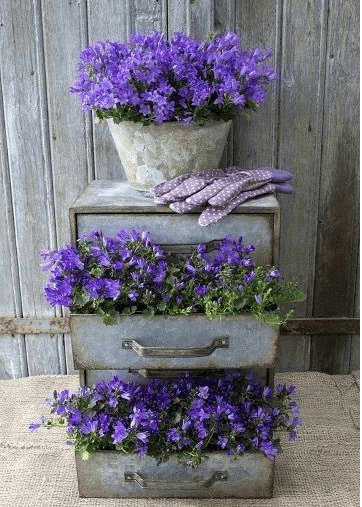 Freestyling_Decor_1
