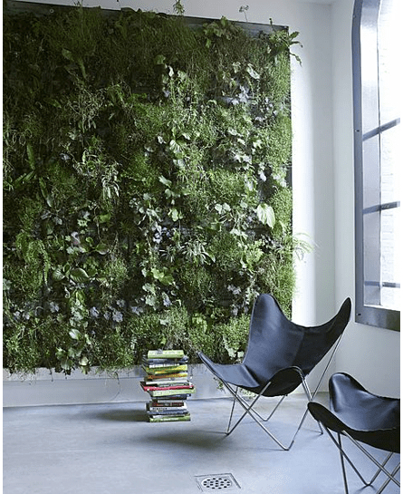 Vertical_Indoor_Garden_1