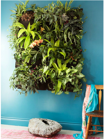 Vertical_Indoor_Garden_2