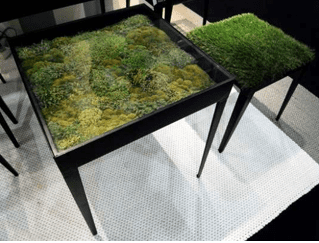 Green_Space_Furniture