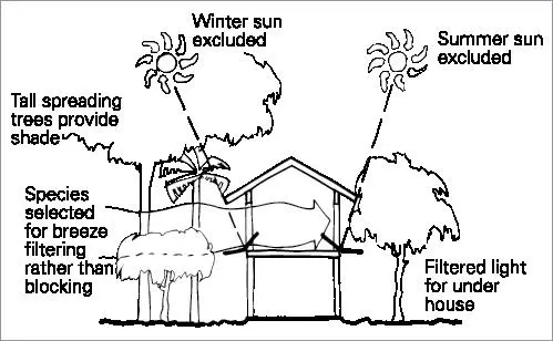 Vegetation Orientation in Hot and Dry Areas
