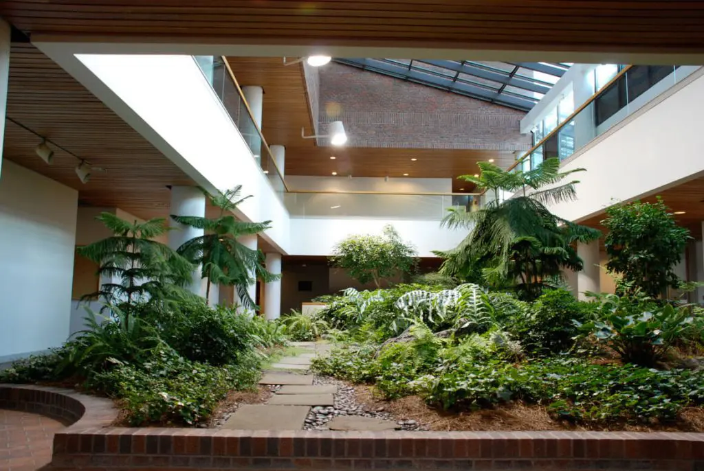 Interior Garden Design