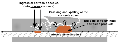 Corroding Reinforcing Steel