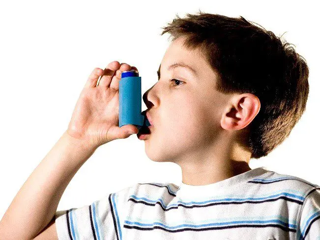 Respiratory disorders due to dampness in buildings