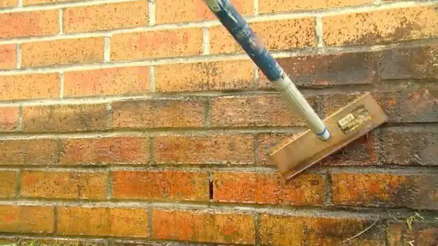 Removing dust, grease and other biological growth - Plastering