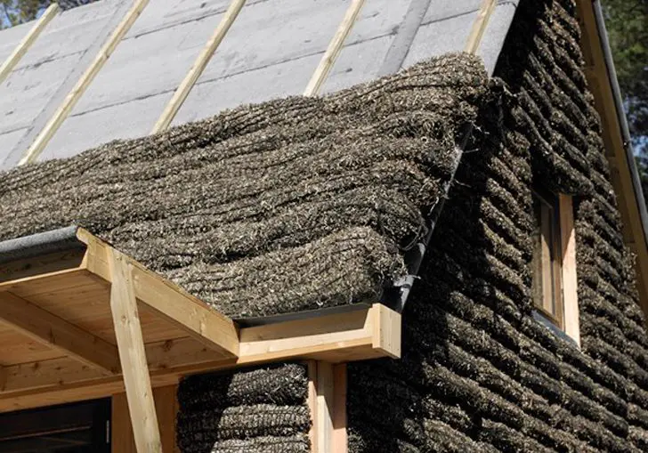 Seaweed-House-Splaying with Water