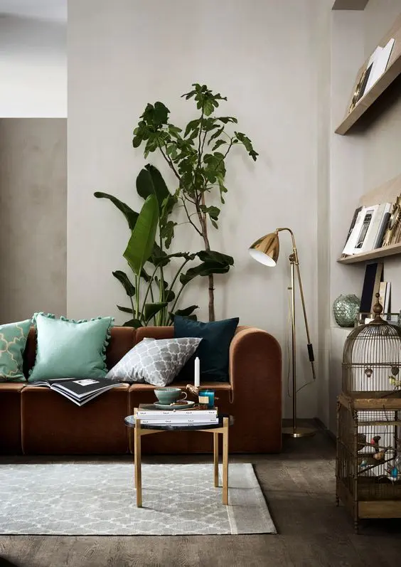 Cotton Rugs in living room