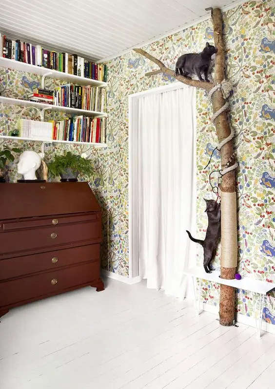 Creating play zone for your cat