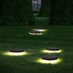 Inground Lighting Fixtures in Garden Area