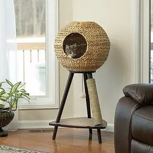 an innovative abode for your cat