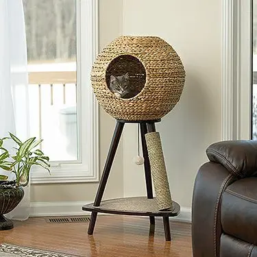 an innovative abode for your cat