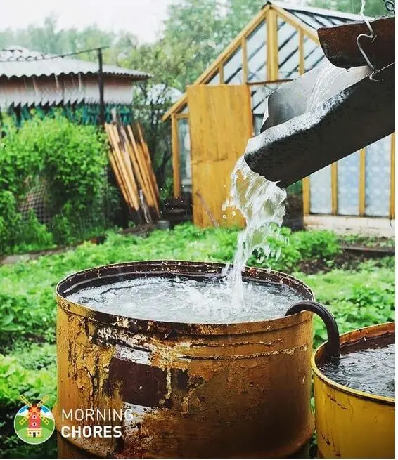 Rain water barrels to store water from roof top