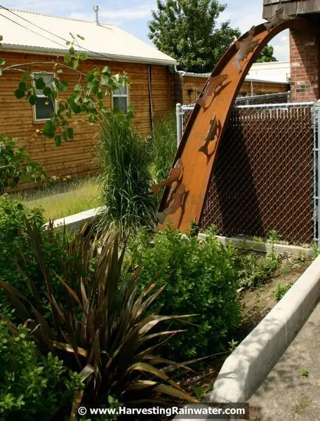Roof rain water channelled into garden in backyard