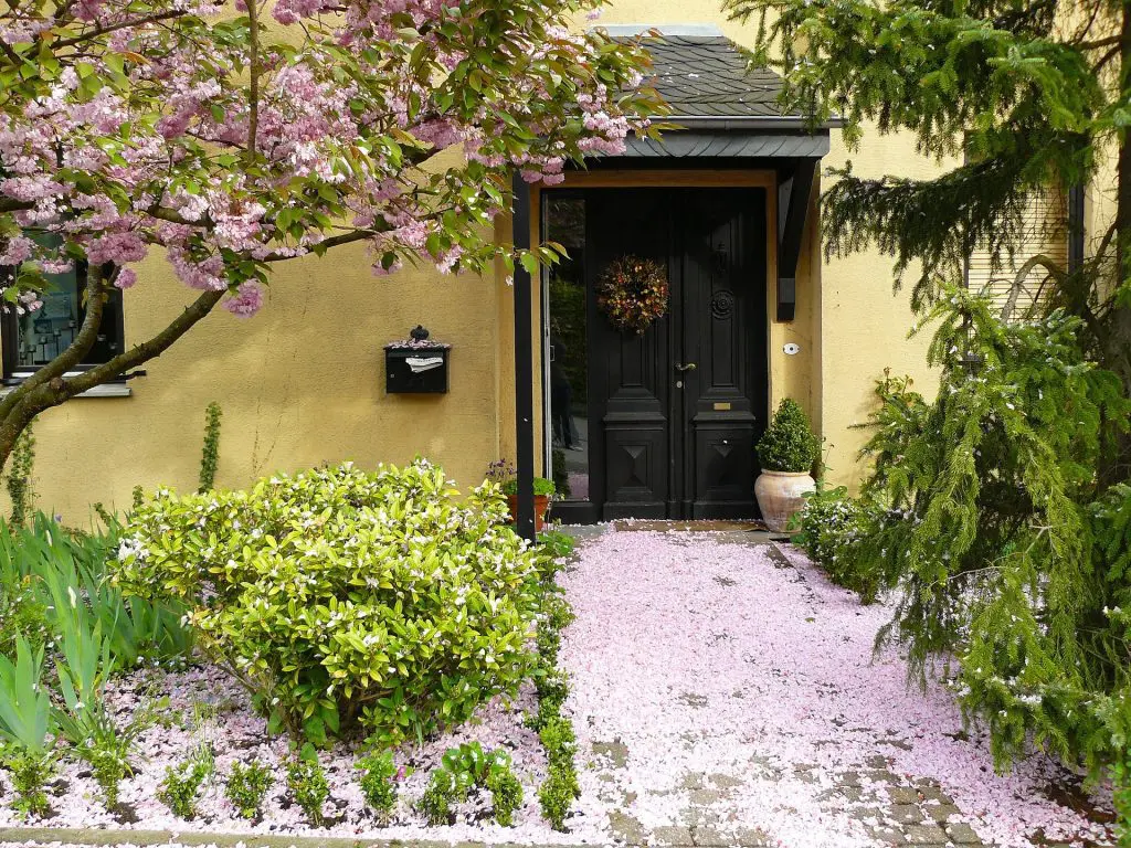 Entrance of House Main Door