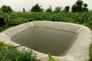 rain-water-harvesting