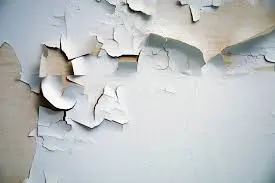 Painting Defect -peeling