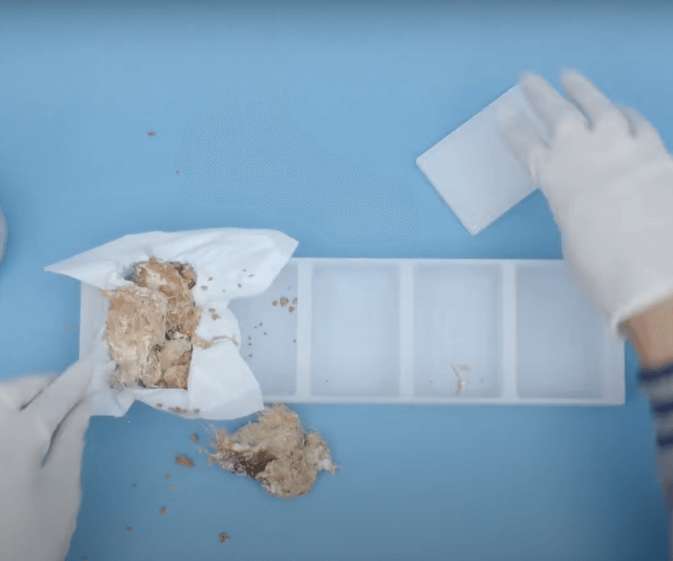 Putting mushroom mass from the container to form blocks