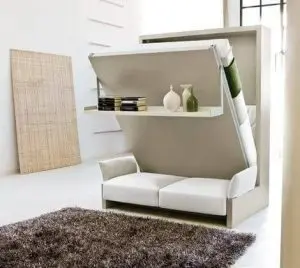 A murphy bed that turns into a sofa