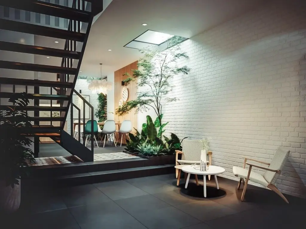 Skylight installed above a tree inside living area