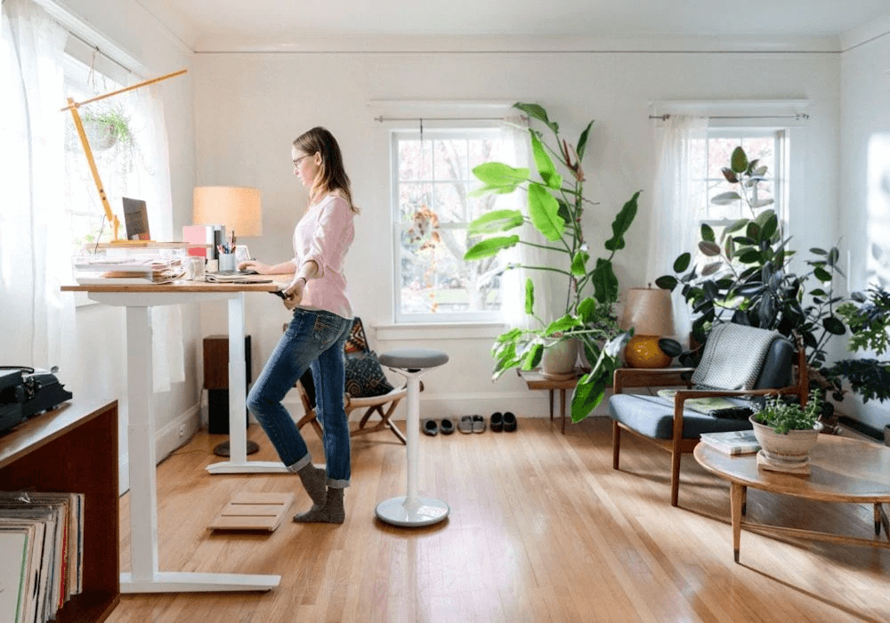 Biophillic interior design with lot of indoor plants