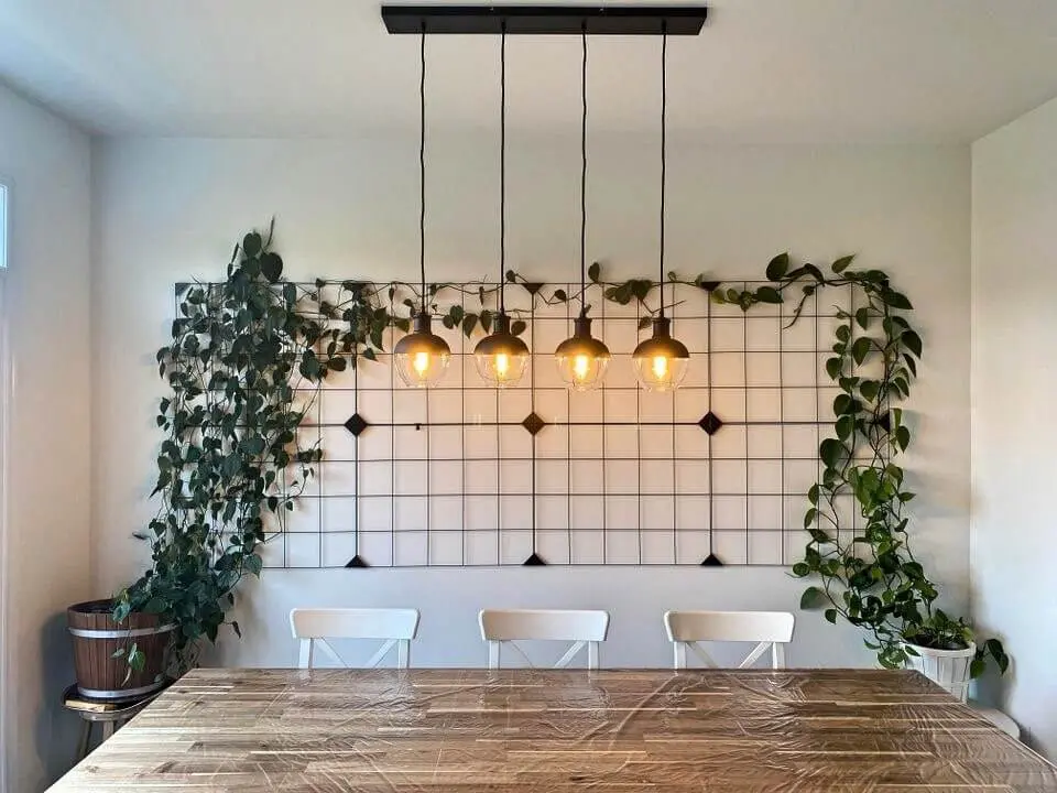 decorating home with plants