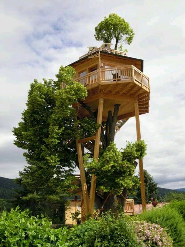 A tree house design - childhood dream