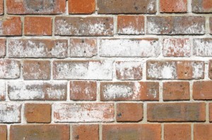Efflorescence in Bricks