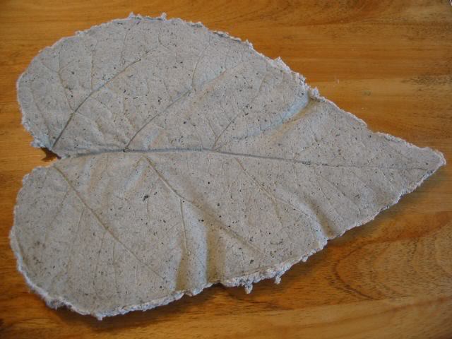 papercrete_leaf