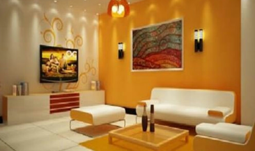 Indian Wall Colors & Designs