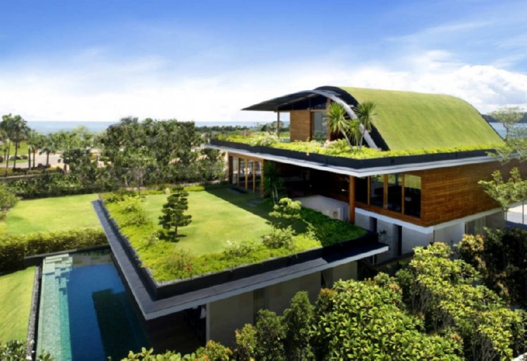 Green Roof Structure