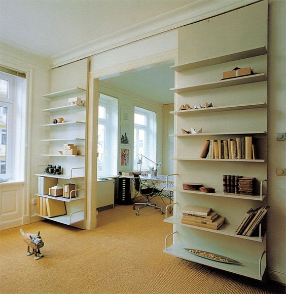 Book Shelf Partition in Living Room