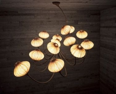 Organic lights in the shape of Plant