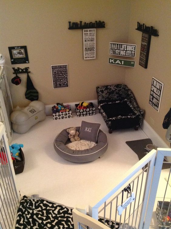 A room with nice furnishings just for your Dog