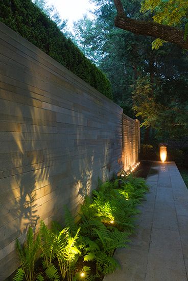 Well Lights to highlight plants and any architectural features