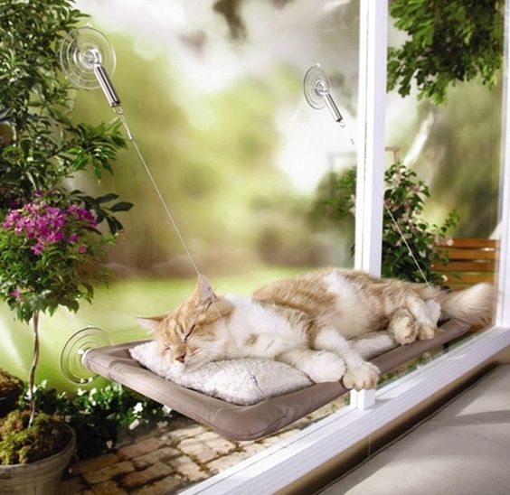 Wider Window Sill for your pet to rest