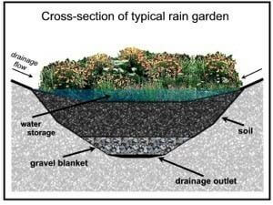 Cross Section of a typical rain water harvesting garden