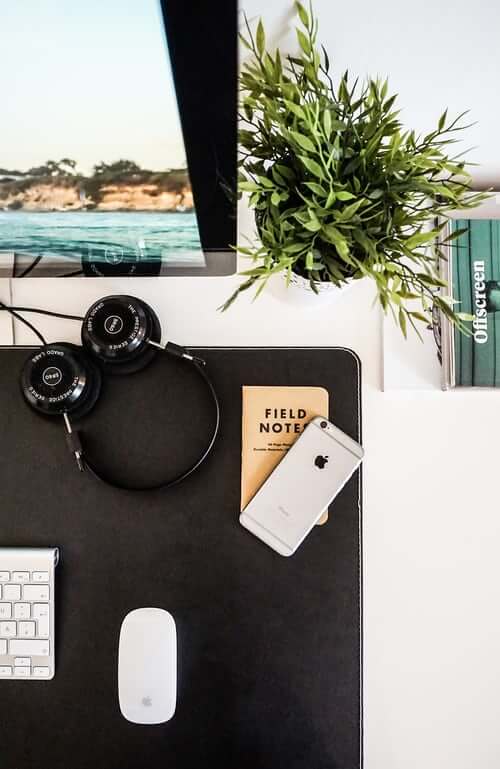 Having a Succulent on office desk