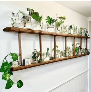 A holder made of ladder to place plants in glass bottles