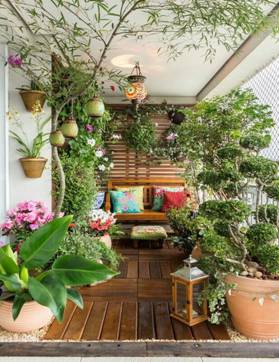 A living garden with bosai plants in balcony