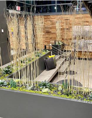 A partition created out of plant stems to seprate living area