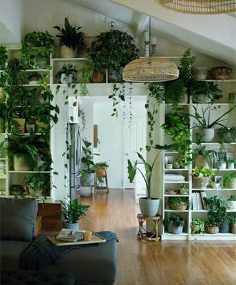 Potted plants and shurbs placed inside shelves