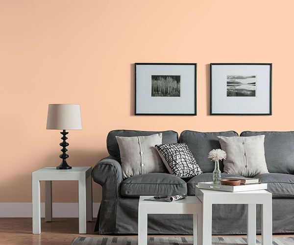 grey sofa placed infront of pastel orange coloured wall