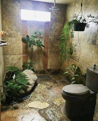 green and live bathroom with plants, creepers hanging around