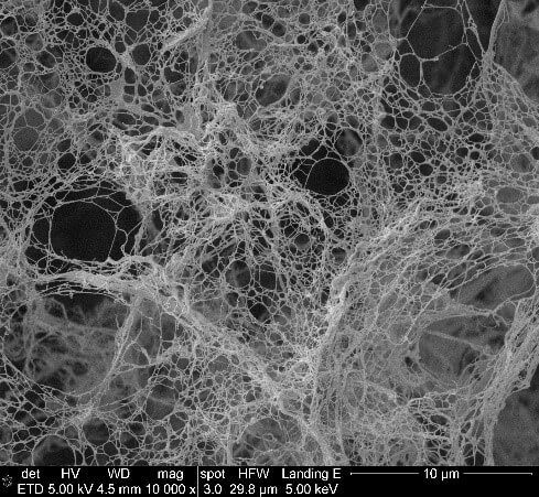 Cellulose nanofiber that can be used as construction material