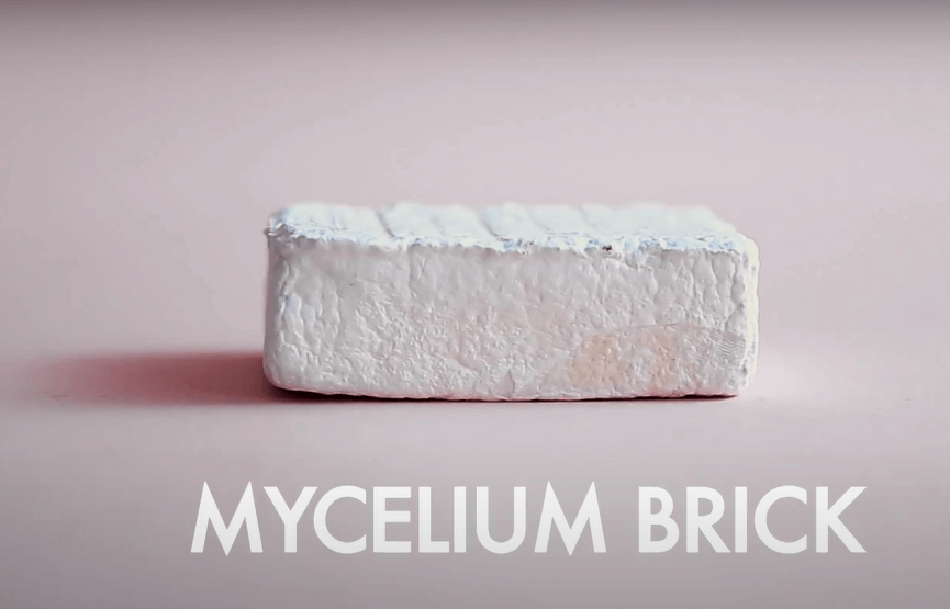 A mycelium brick that can be used in cosntruction