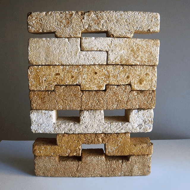 Different interlocking shapes of mycelium bricks available