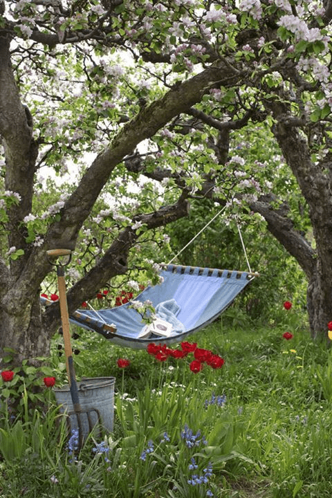 landscaping with a hammock for relaxing in a farm house