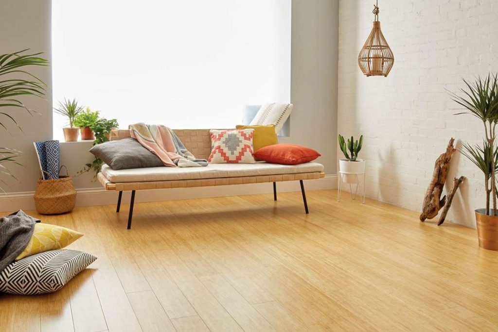A minimalistic Living room design with wooden flooring and plants