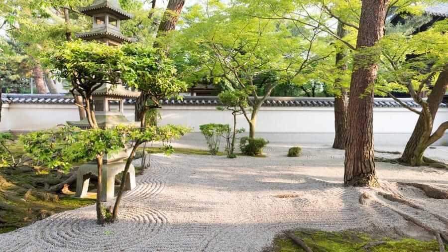 A zen garden with trees and gravel